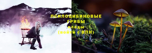 ешки Зерноград