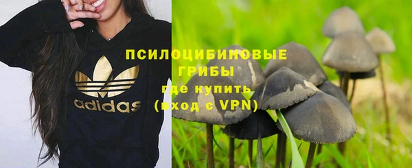 ешки Зерноград