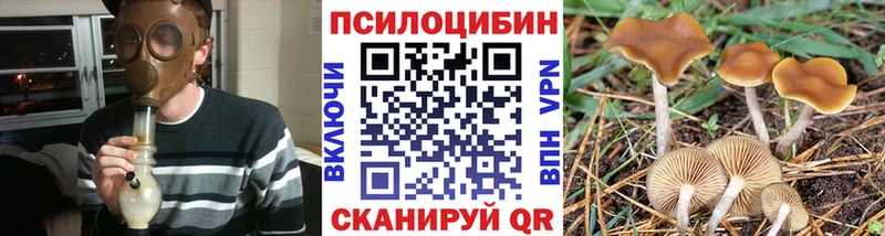 купить наркотики цена  omg   Галлюциногенные грибы GOLDEN TEACHER  Ишимбай 